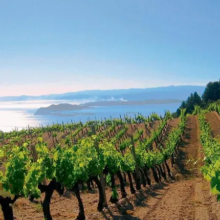 Apartments@tsiantas Appartement *